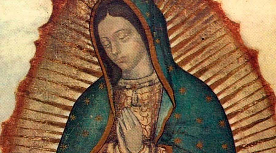Festejo Patronal virgen de Guadalupe