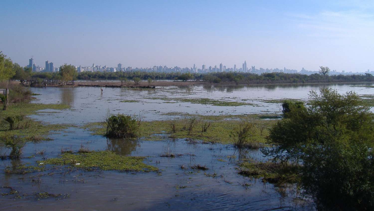 Realizan estudio de parámetros generales de calidad de agua del Delta del Paraná