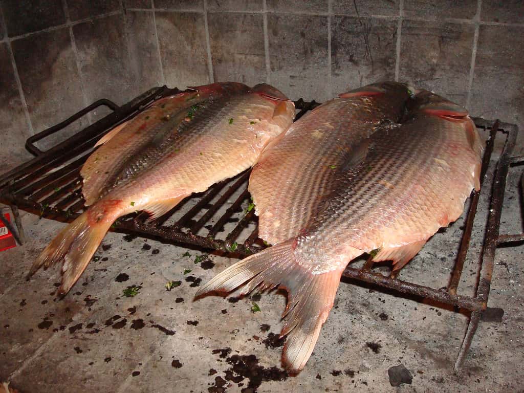 Este martes llega el programa pescado de río a precios populares