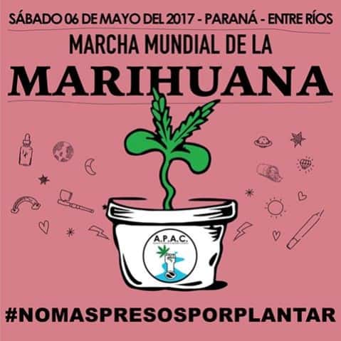 Se realizará en Paraná una nueva marcha por la despenalización de la marihuana