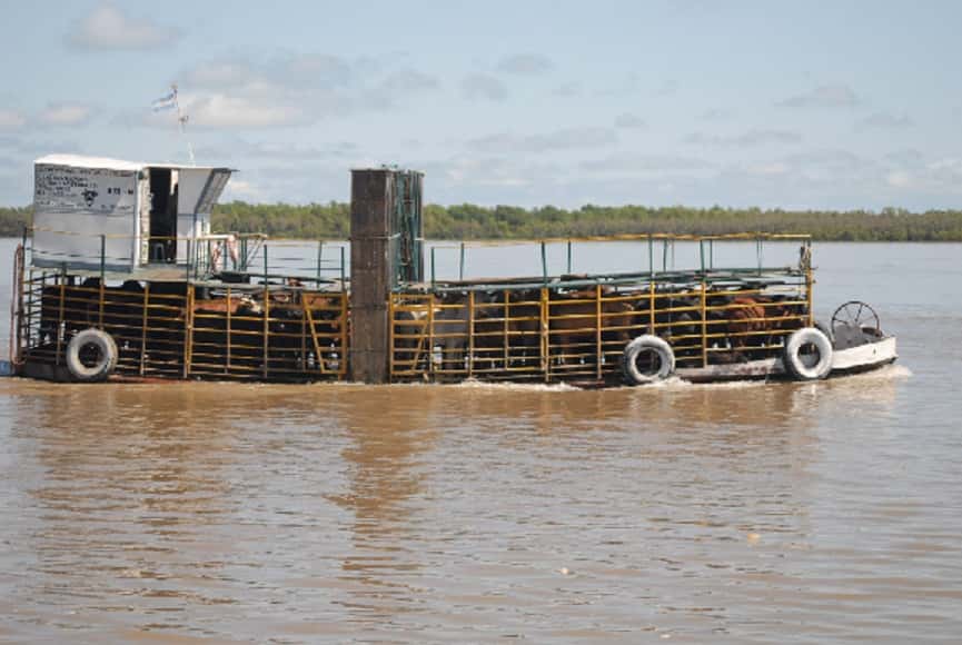 Una embarcación de traslado de hacienda partícipe de un accidente náutico en El Barrancoso