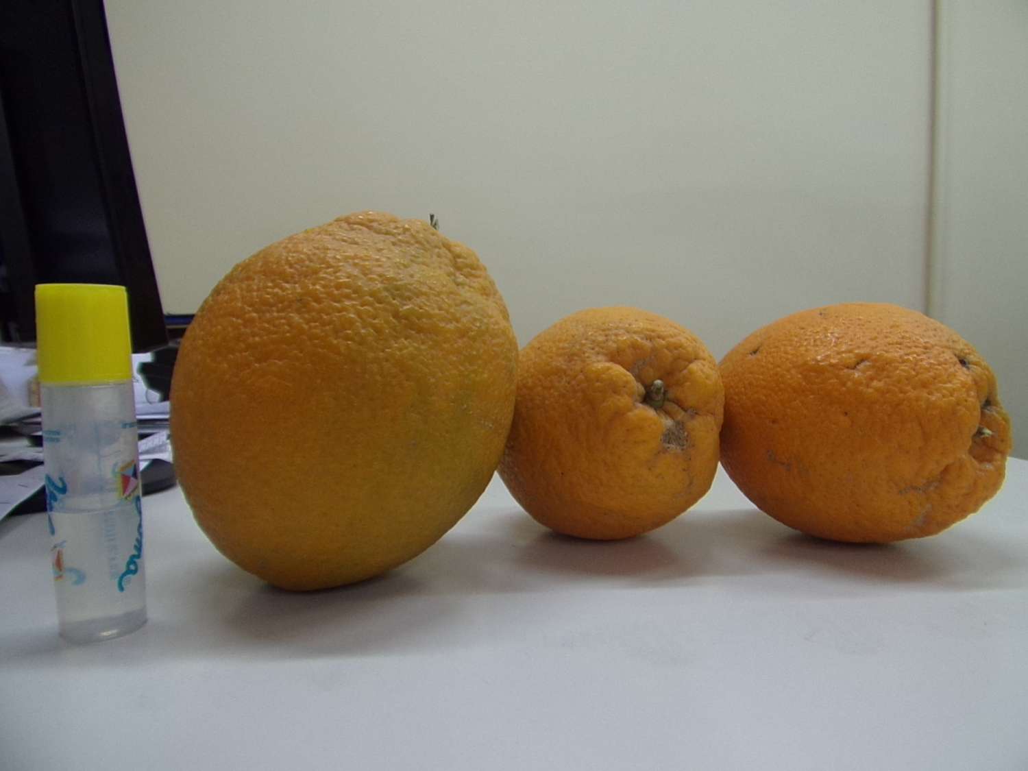 Naranjas gigantes para la estación