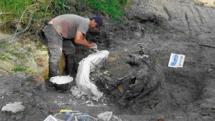 Descubren restos de animal que habitó Entre Ríos hace 8 mil años