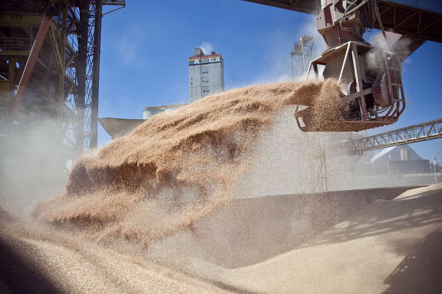 El Ministerio de Agroindustria de la Nación y la Administración Federal de Ingresos Públicos simplifican las exigencias a productores y operadores de granos