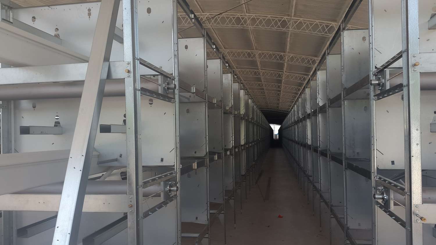 Instalan en Crespo el primer equipo automático de la Argentina de producción de huevos de gallinas libres de jaulas