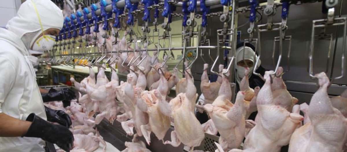 Trabajadores avícolas acordaron un aumento del 30% en tres tramos