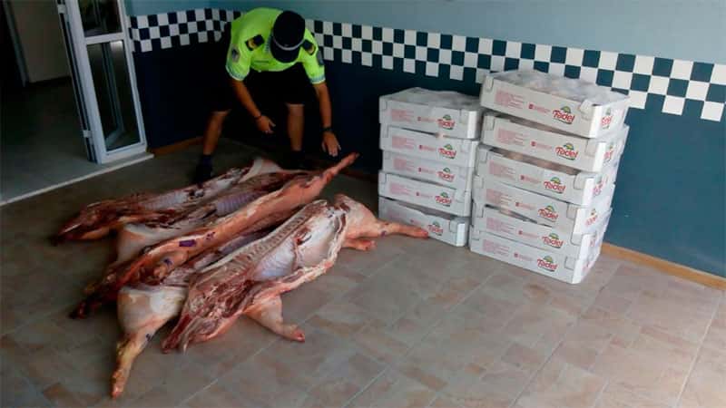 Decomisaron carnes de pollos y cerdos en control policial