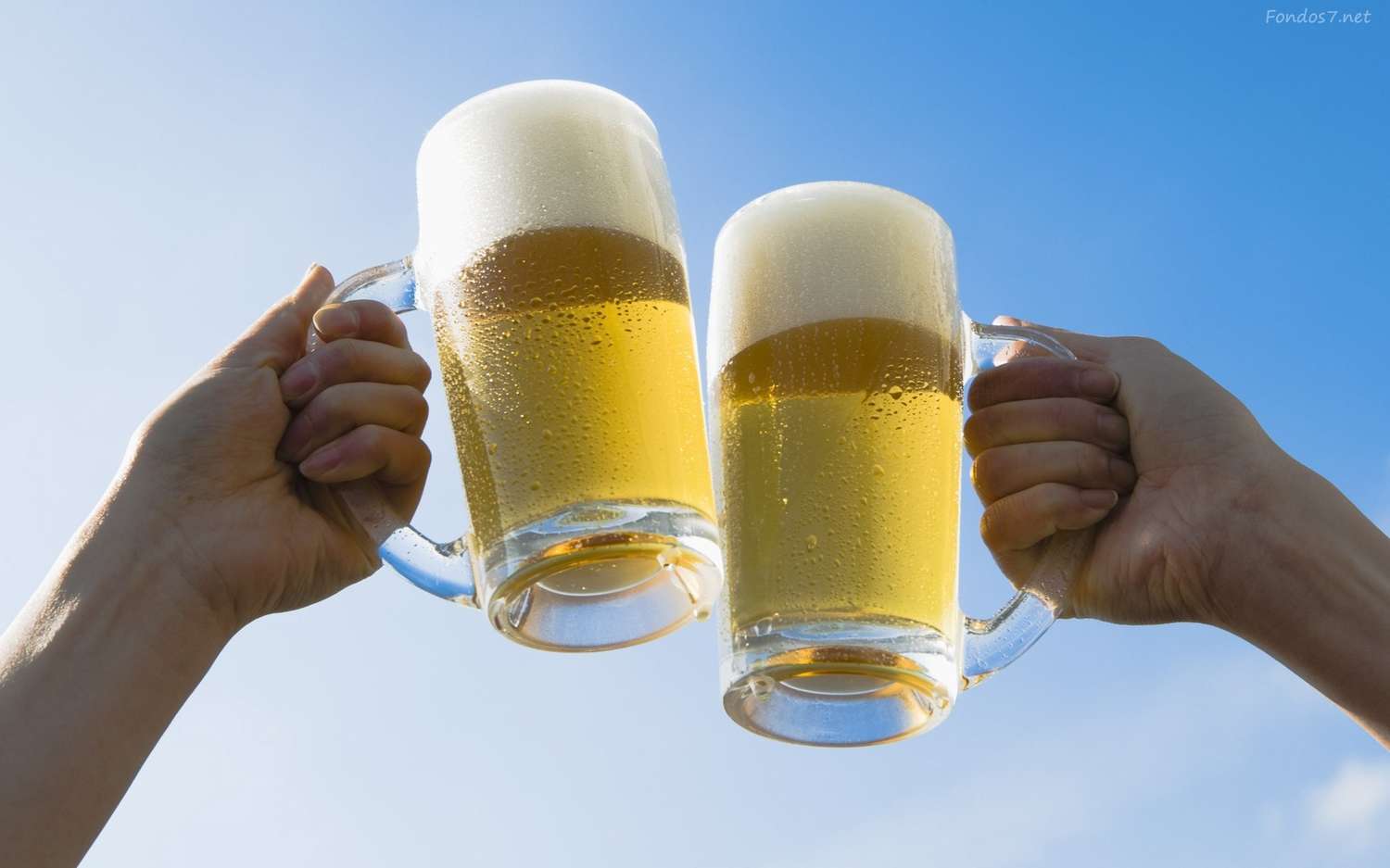 En siete días se realiza la 48 Fiesta Provincial de la Cerveza