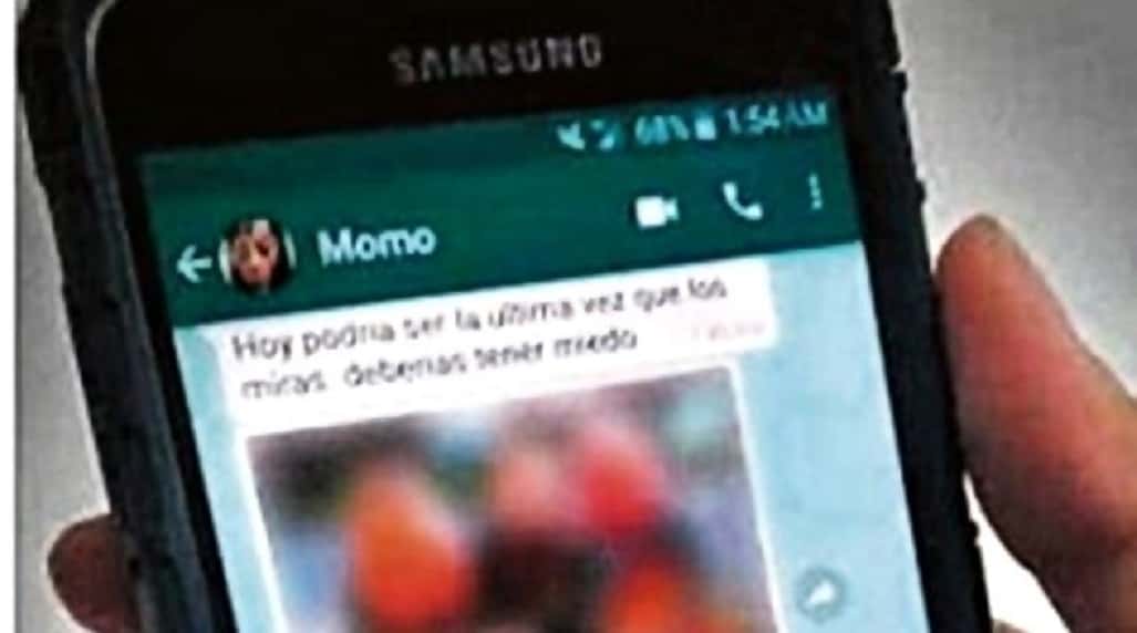 Un niño de Paraná fue víctima del «Momo»