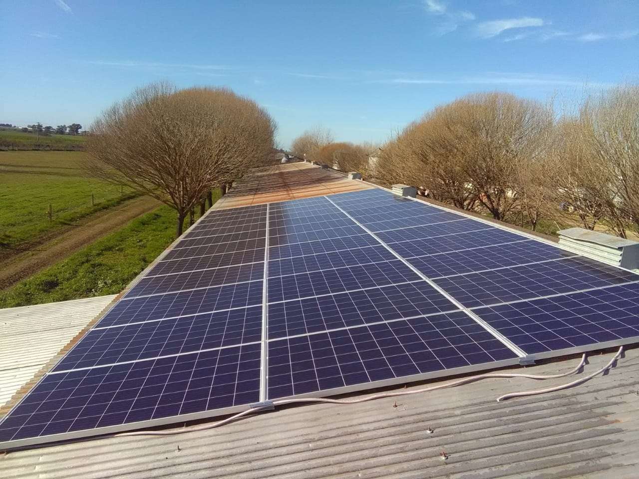 Funciona en Aldea Jacobi la primera granja de pollos con energía solar
