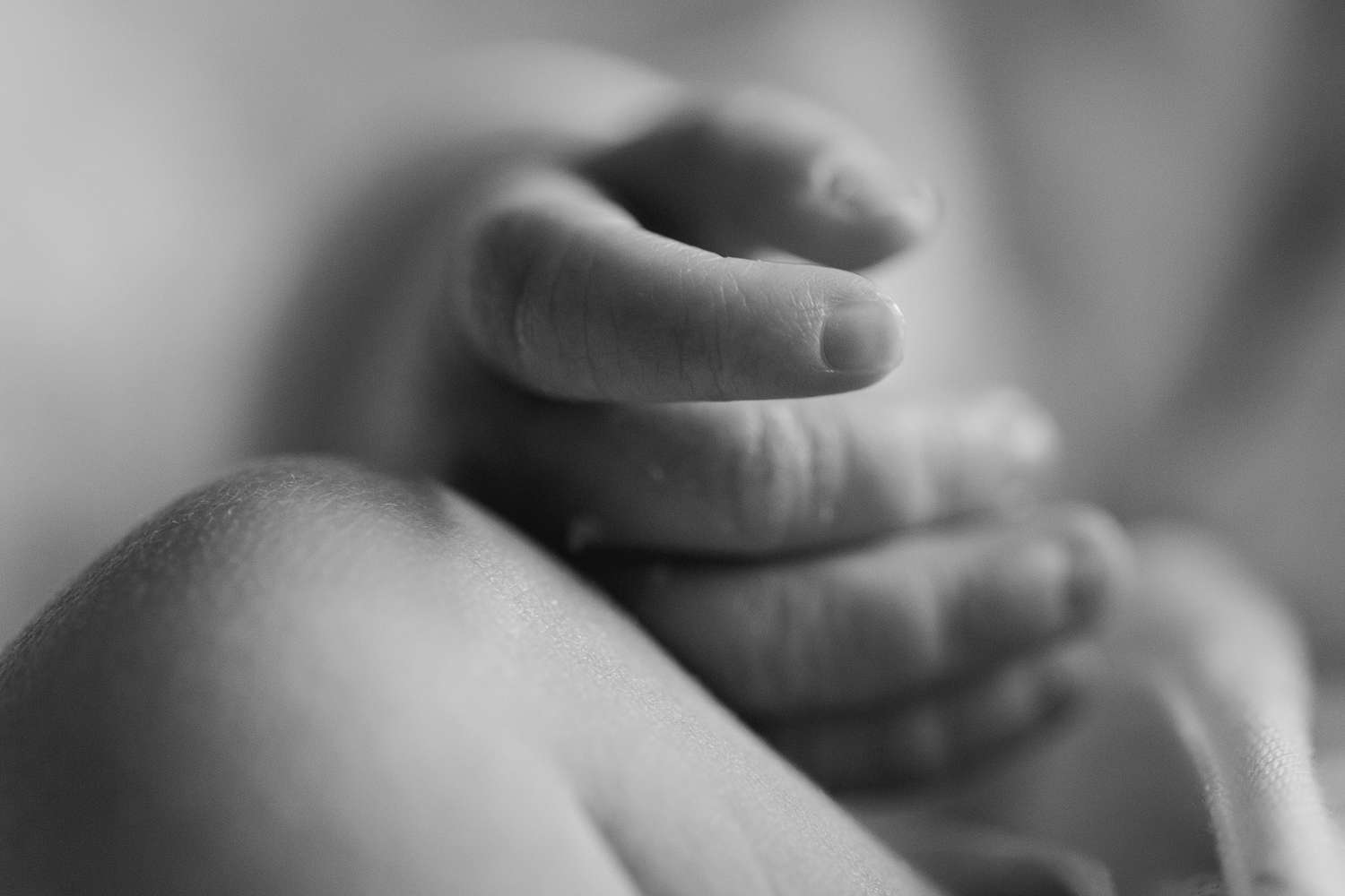 Un bebé de poco más de seis meses de gestación fue encontrado envuelto en trapos en un basural