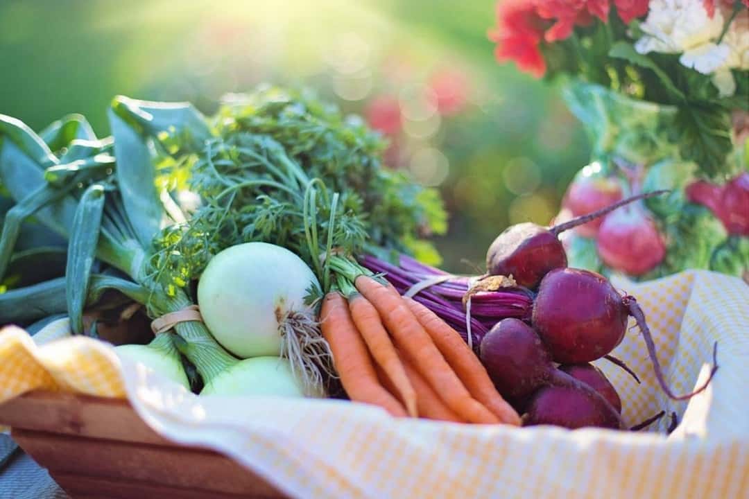 Los 10 beneficios de consumir alimentos orgánicos