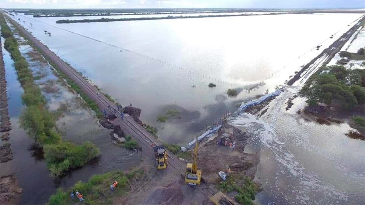 Declararon la emergencia agropecuaria para Chaco, Santa Fe, Corrientes y Santiago del Estero