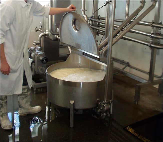 La pasteurización de la leche trae beneficios para la salud