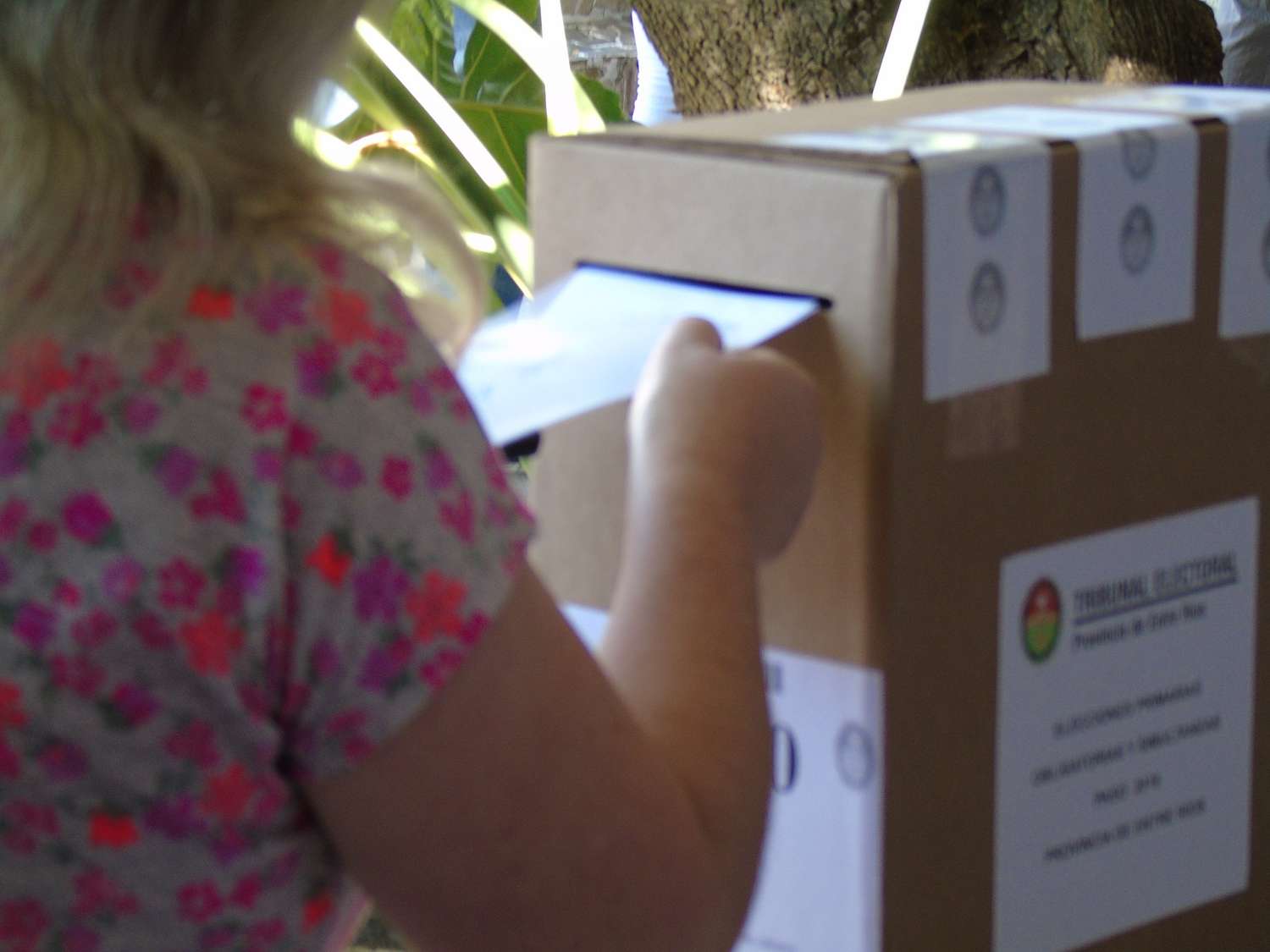 Son 20.008 los ciudadanos habilitados a emitir su voto en las 57 urnas distribuidas en Crespo