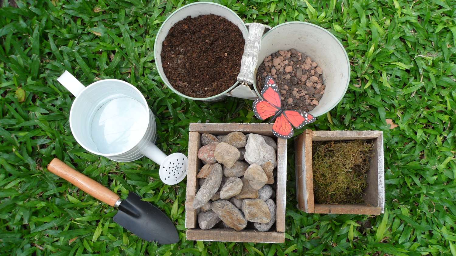 Fertilizar: clave para la salud de tu jardín y plantas