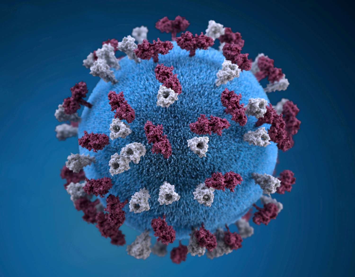 La Organización Mundial de la Salud registra 34.000 casos de sarampión en Europa este año