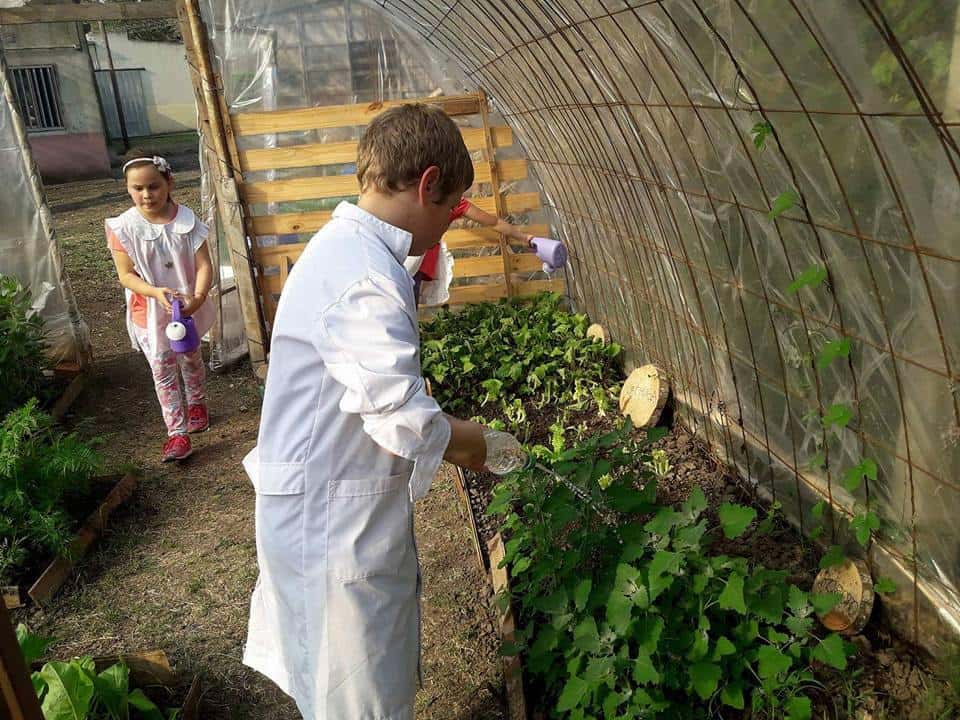 Huertas escolares: La magia de cultivar verduras en la escuela hace posible lo imposible