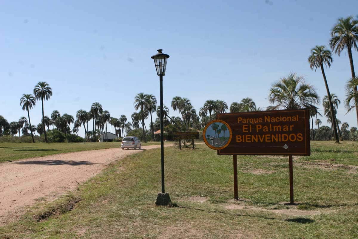 El Palmar, un parque nacional que concentra buena parte de las aves argentinas