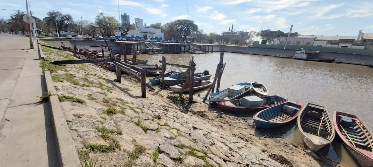 La bajante del Paraná afecta a la industria pesquera