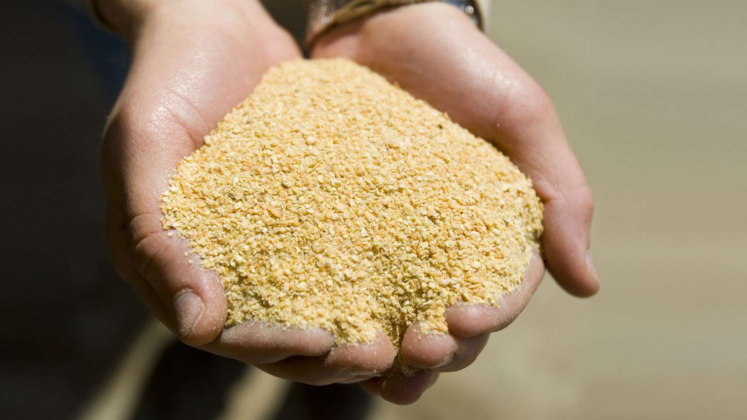 Argentina logra un «acuerdo histórico» para exportar harina de soja a China