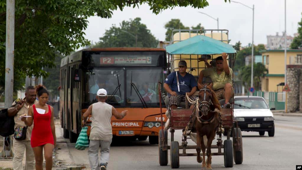 Cuba aumenta uso de tracción animal por crisis energética