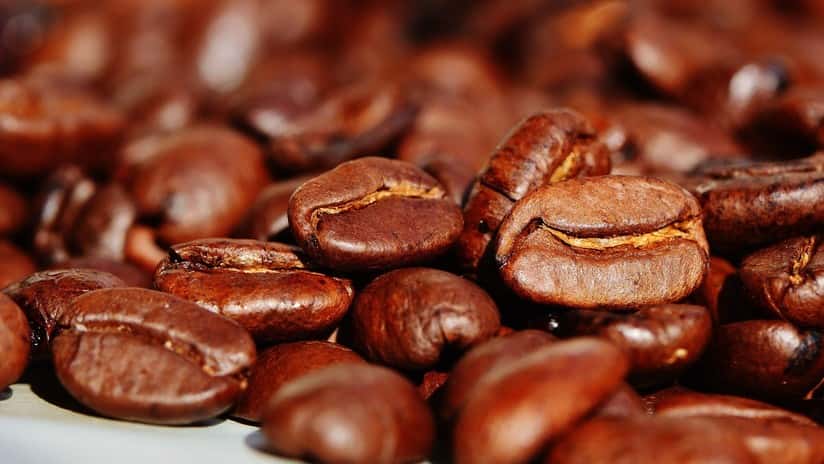 Advierten que el café podría convertirse en un producto escaso y de lujo debido al cambio climático
