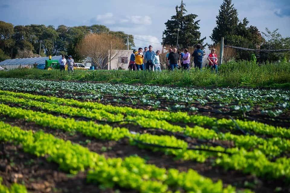 Se realizará la 1ª Jornada Hortícola y Agroactiva en Paraná