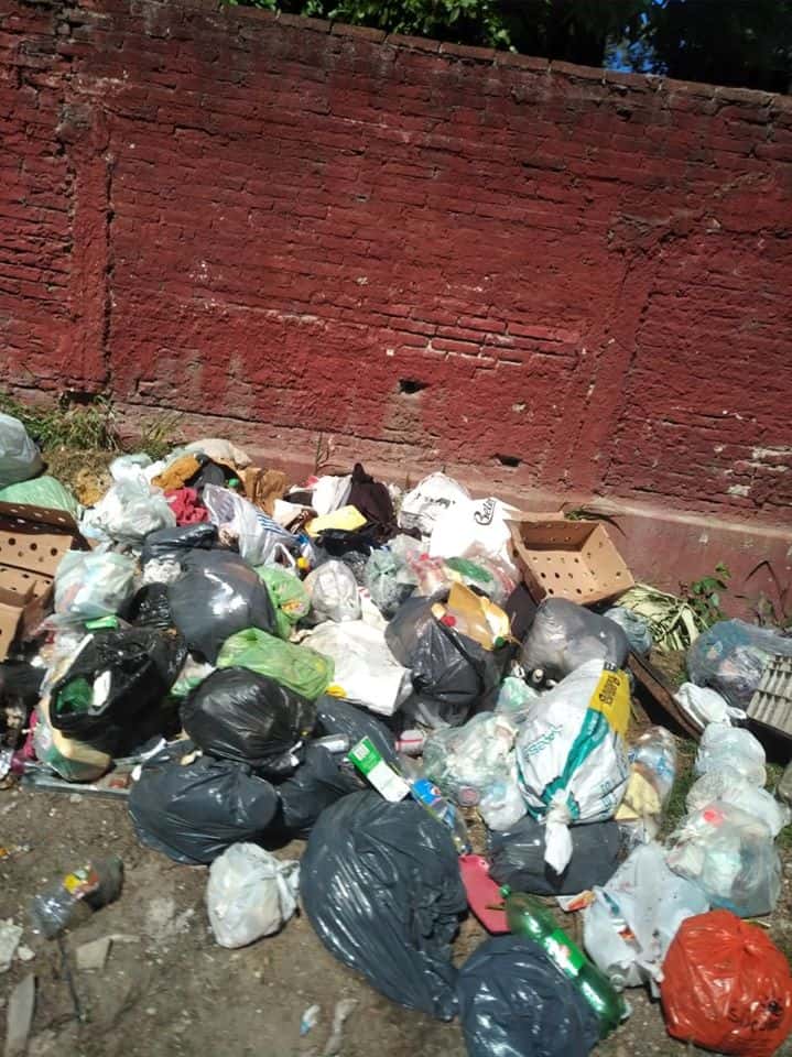 La Municipalidad deberá normalizar el servicio de recolección de residuos