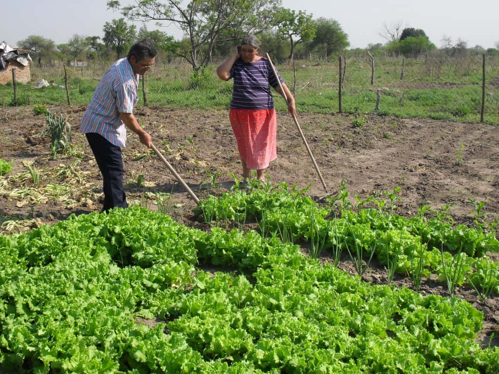 Villaguay será sede del Segundo Encuentro Provincial de Agricultura Familiar y Desarrollo Rural