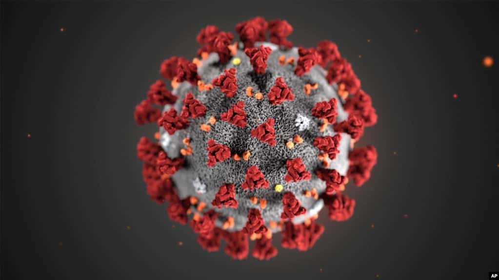 Nueva tecnología podría desarrollar vacuna contra el coronavirus en tiempo récord