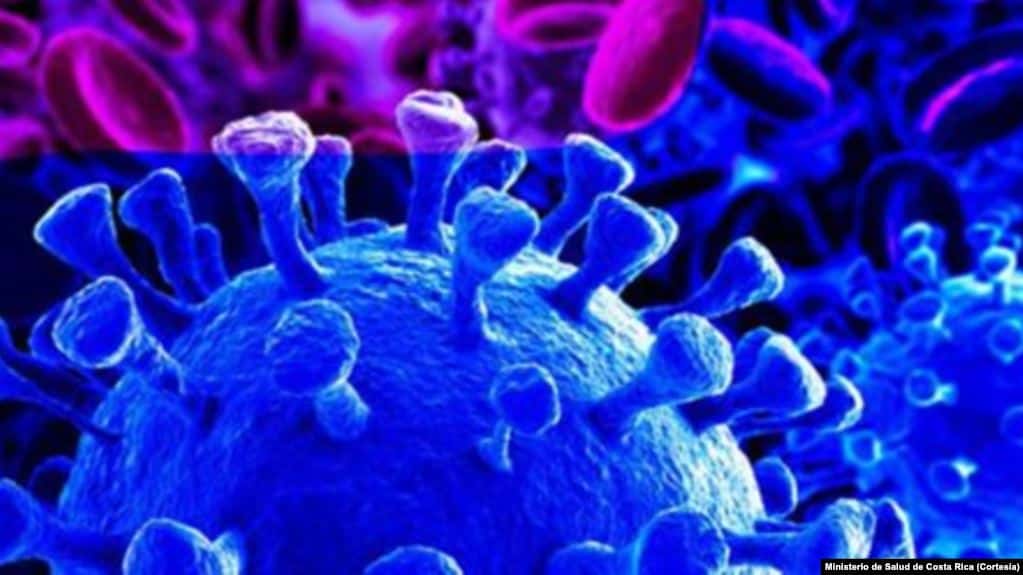 OMS: «El COVID-19 es ahora una pandemia»