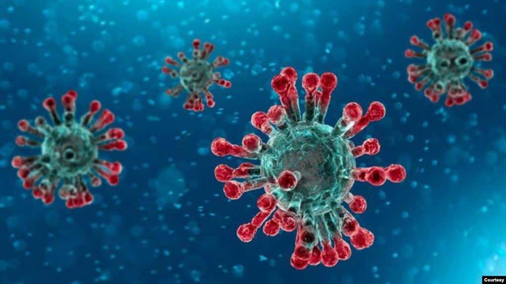 COVID-19 renueva la búsqueda de una vacuna contra el coronavirus