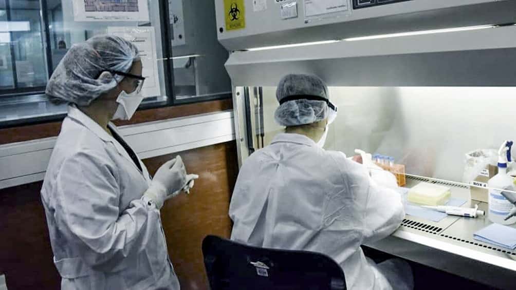 Coronavirus en la Argentina: reportan siete nuevas muertes y la cantidad de víctimas llega a 300