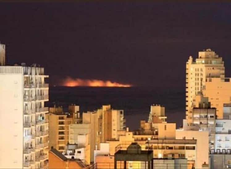Fuego en las islas: “Necesitamos que Entre Ríos haga su parte”