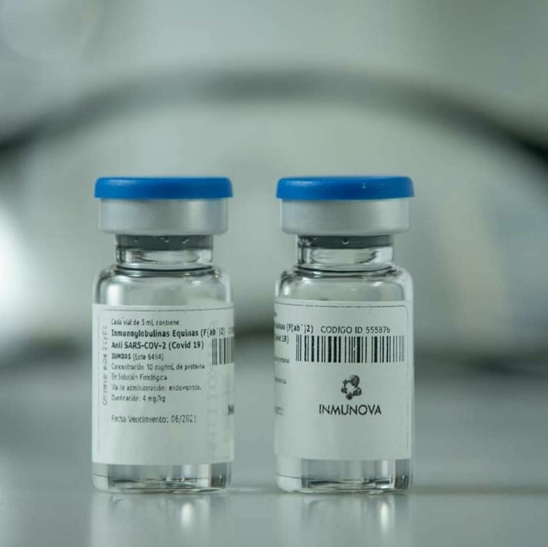 Investigadores argentinos desarrollan un suero terapéutico que neutraliza el virus SARS-CoV-2