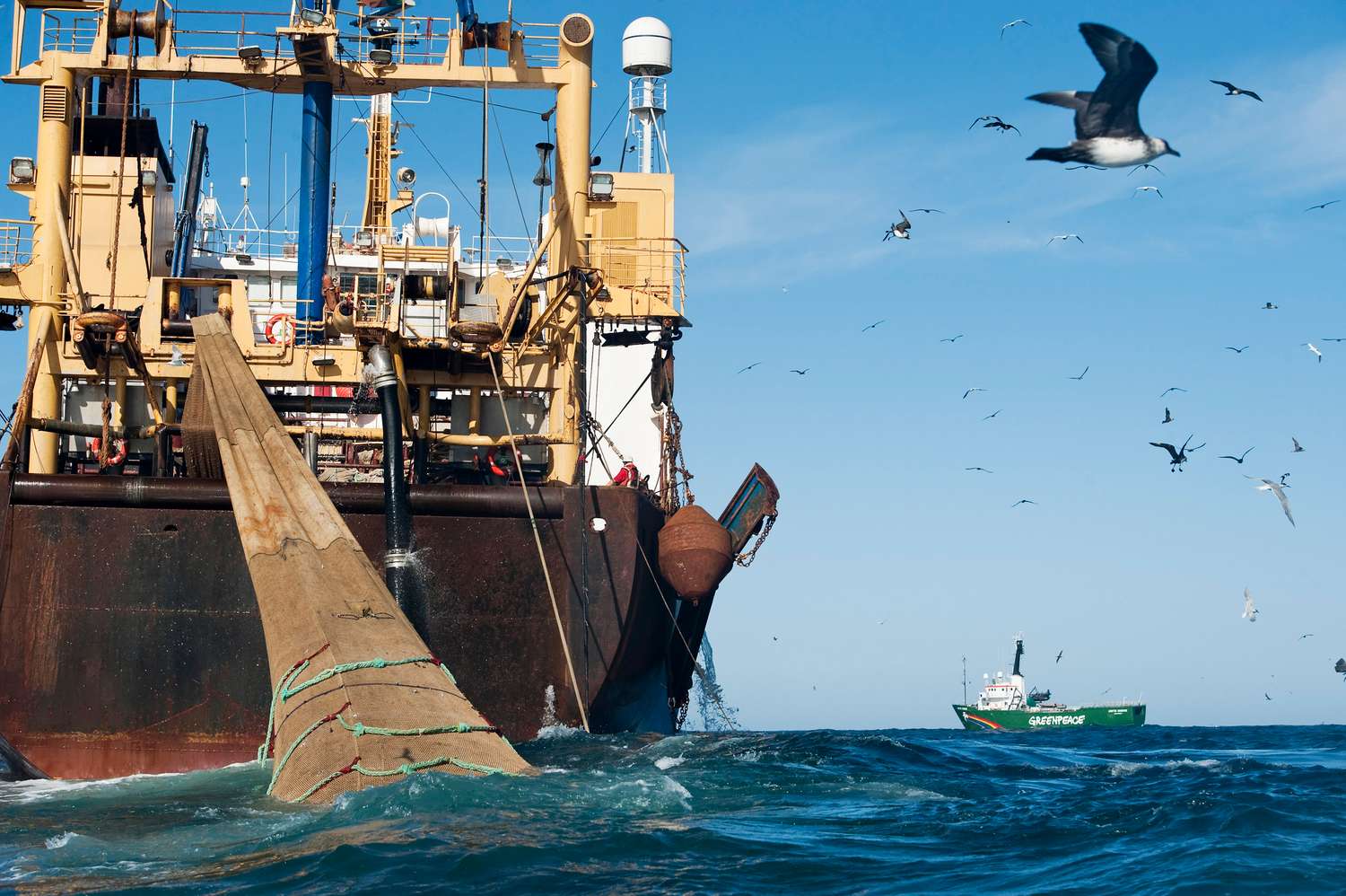 El Mar Argentino «al borde del colapso entre pesqueros y petroleros»