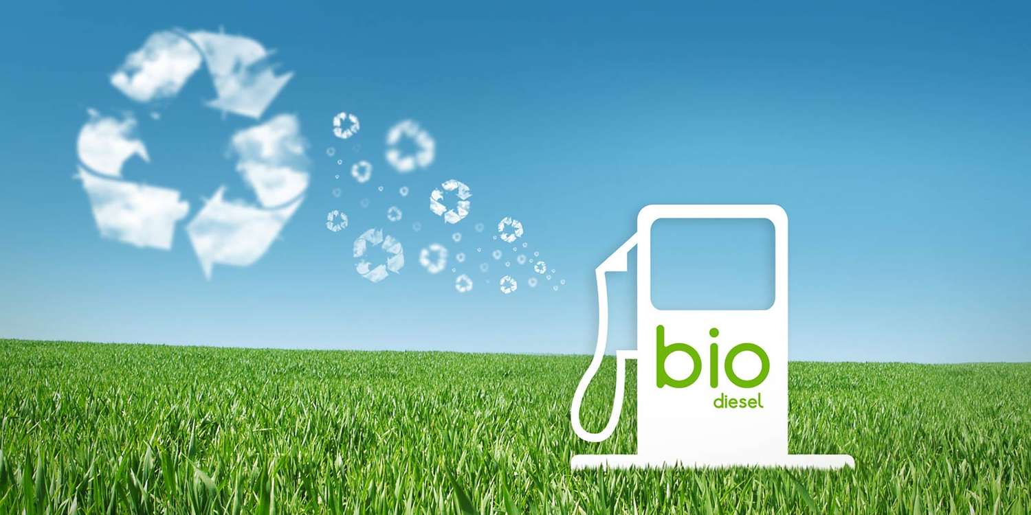 Biocombustibles. Hay que parar y volver a llenar el tanque