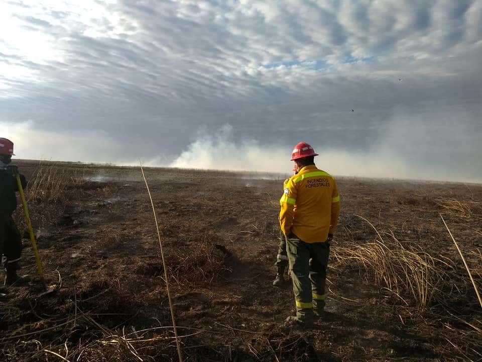 Entre Ríos, Tucumán y otras cinco provincias se ven afectadas por incendios