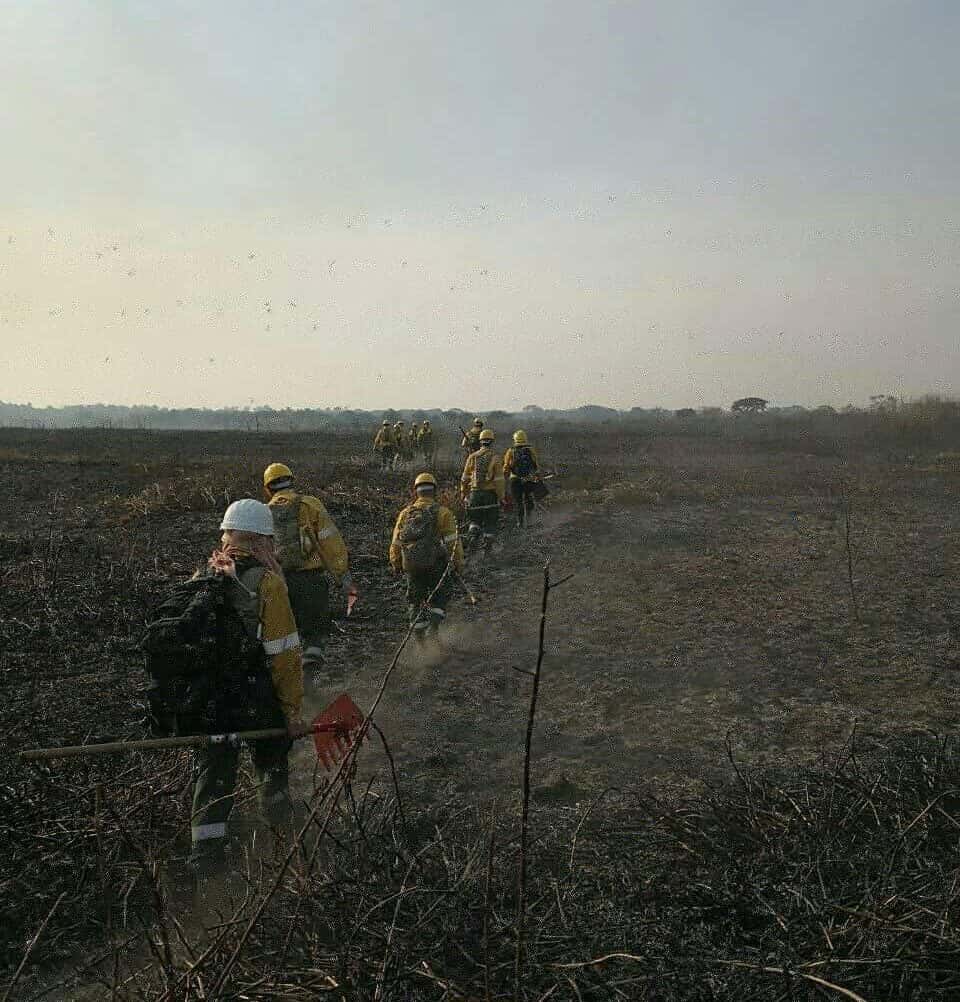 La Provincia monitorea la situación en el Delta y ratifica la prohibición de quemas en todo el territorio