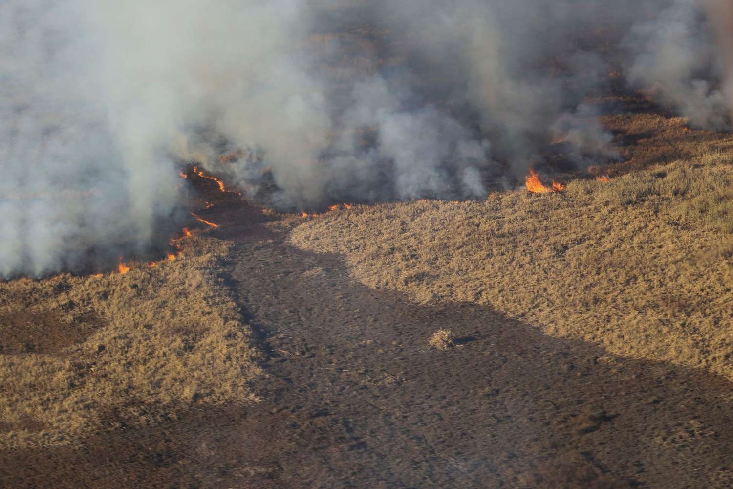 Se declaró la emergencia ambiental por los incendios en el delta entrerriano