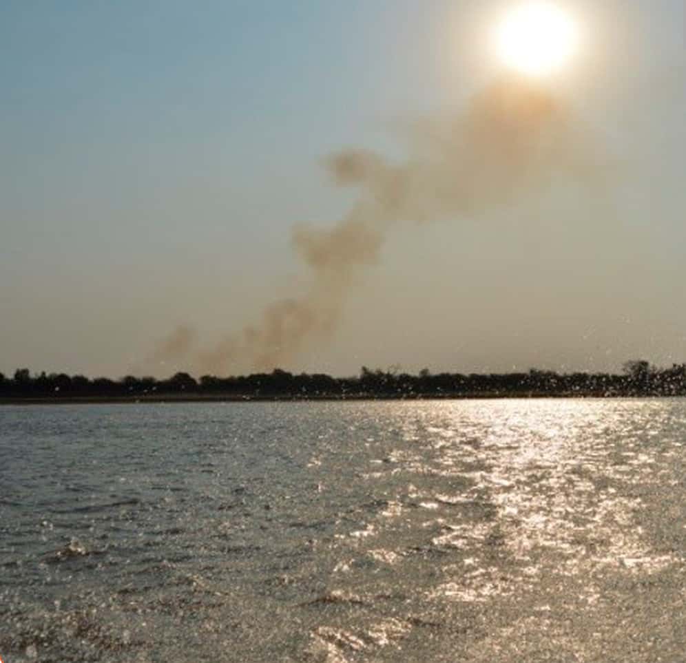 Incendios en el Delta: El Comité de Emergencia Ambiental presentó a la Justicia las acciones acordadas