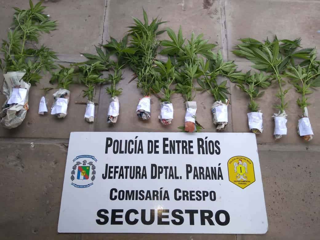En dos operativos realizados en Crespo secuestran un arma de fuego y plantas de marihuana