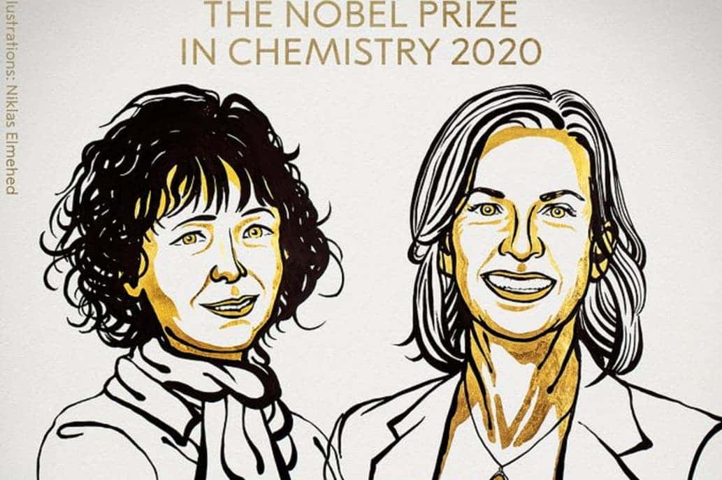 Premio Nobel en Química: distinguen a dos investigadoras por sus trabajos sobre el genoma