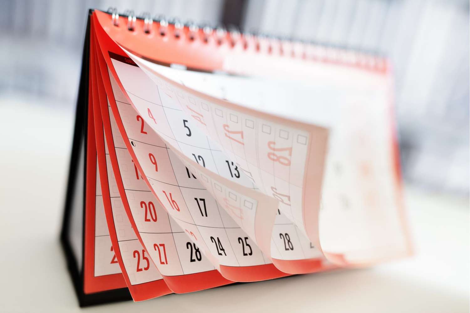 El Gobierno publicó el cronograma oficial de feriados 2021