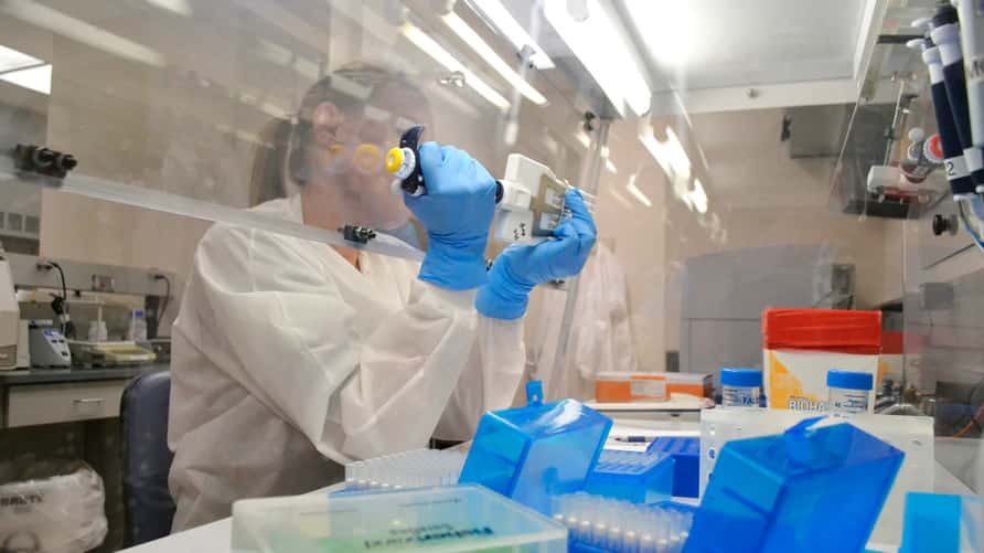 La OMS pide un aumento en la secuenciación genómica del coronavirus al detectarse nuevas variantes