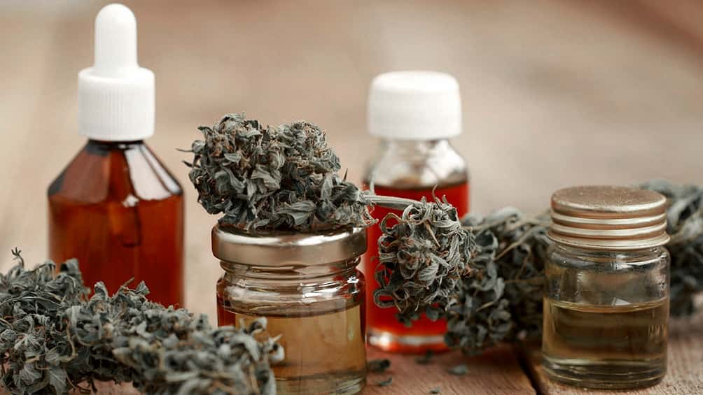 El Gobierno reglamentó el registro de autocultivo de cannabis medicinal
