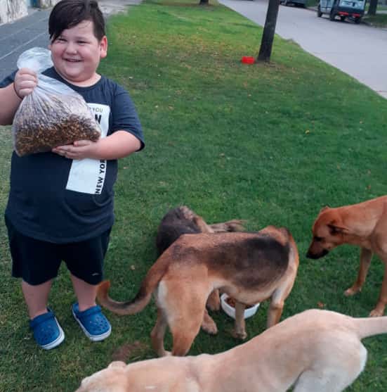 Tiene cinco años y organizó una rifa para comprarle alimento a los perros de la calle