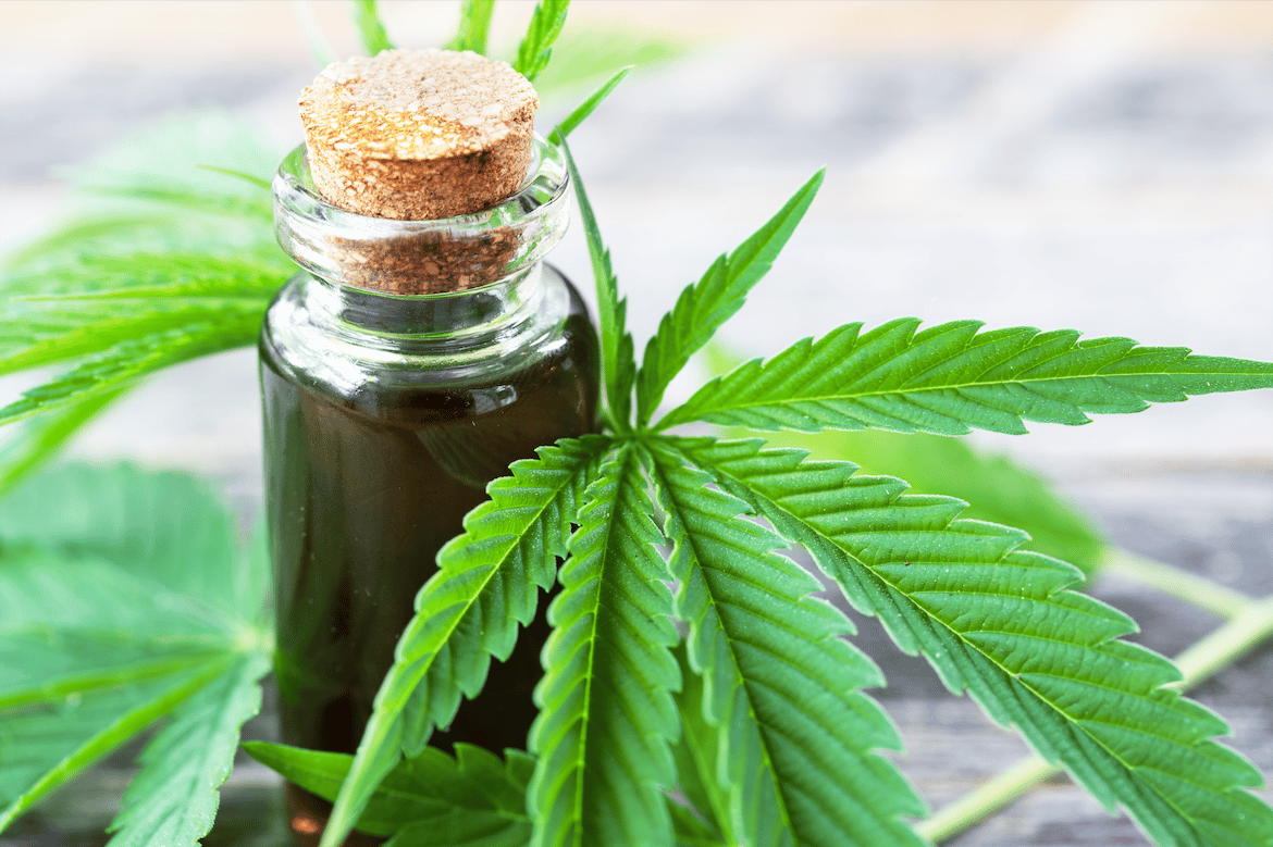 Apostando al cannabis