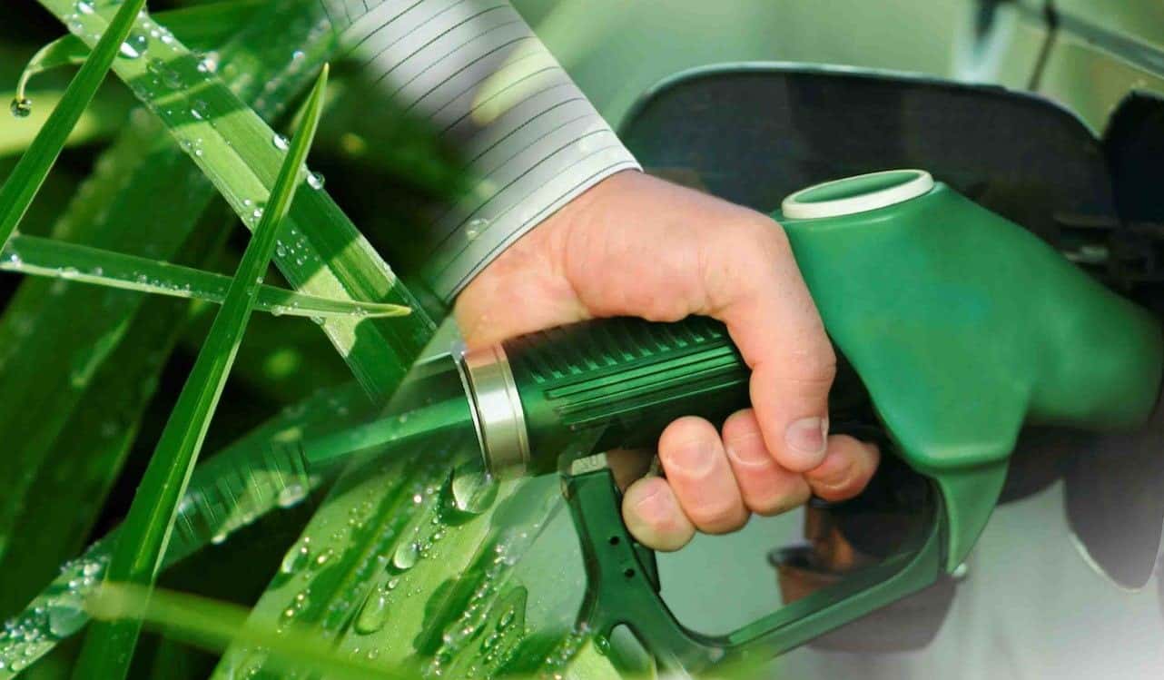 El Gobierno prorrogó hasta el 12 de julio la actual ley de biocombustibles